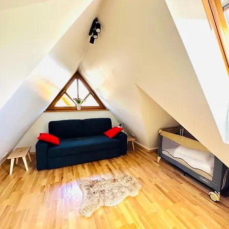 Apartament-domek Giewont * ザコパネ